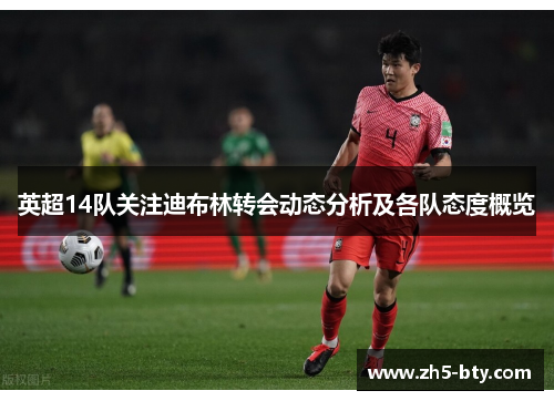 英超14队关注迪布林转会动态分析及各队态度概览