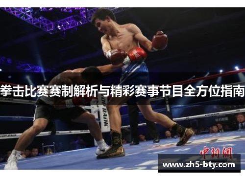 拳击比赛赛制解析与精彩赛事节目全方位指南