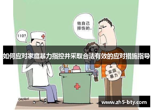 如何应对家庭暴力指控并采取合法有效的应对措施指导