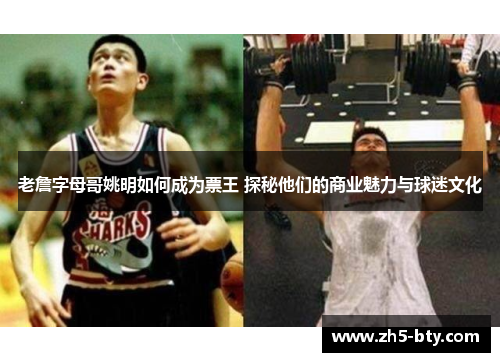 老詹字母哥姚明如何成为票王 探秘他们的商业魅力与球迷文化