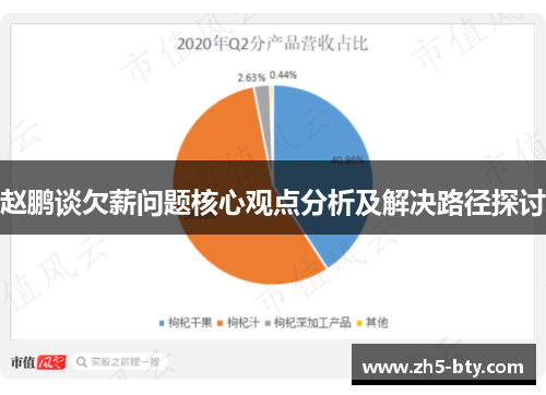 赵鹏谈欠薪问题核心观点分析及解决路径探讨