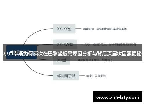 小卢卡斯为何屡次在巴黎坐板凳原因分析与背后深层次因素揭秘