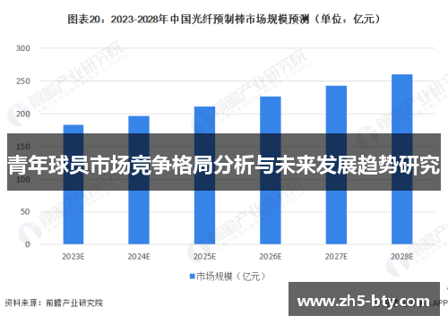 青年球员市场竞争格局分析与未来发展趋势研究