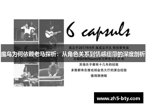 魔鸟为何依赖老马探析：从角色关系到情感纽带的深度剖析