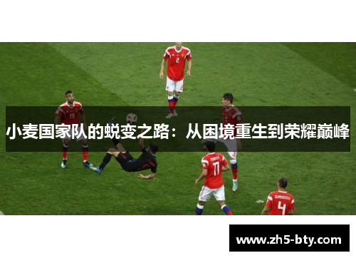 小麦国家队的蜕变之路：从困境重生到荣耀巅峰